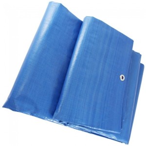 Lona Toldo 4x6 Multiuso Impermeable Camping Auto Jardín Tyt