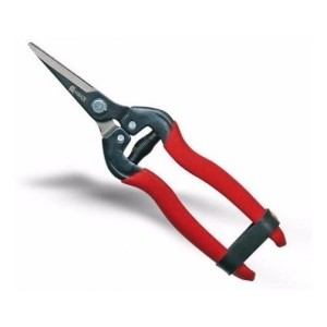 Tijera Manual Vendimia