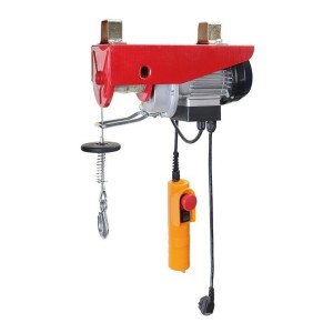 Aparejo Guinche Malacate Electrico 250 Kg 550 W Tyt