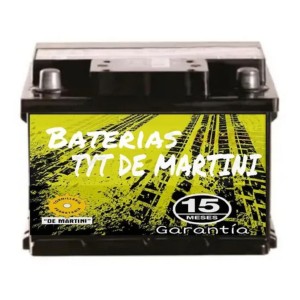 Batería Tyt 145 Amp 15 Meses De Garantía - Tyt