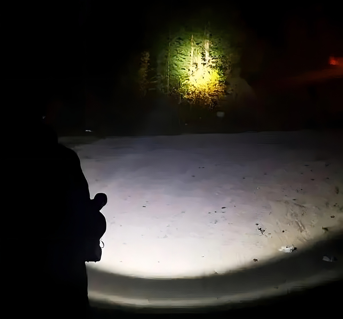 Linterna Cat Dx63b 18v Cabeza Giratoria Sin Bateria Color De La Luz Blanco - Imagen 7