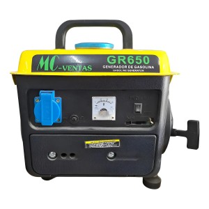 Generador Profesional 650w 2t