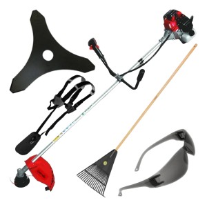 Desmalezadora De Martino Gtb5222u 52cc + Accesorios