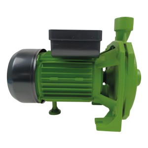 Bomba Centrifuga Forest & Garden Bc610 De 1hp Color Verde