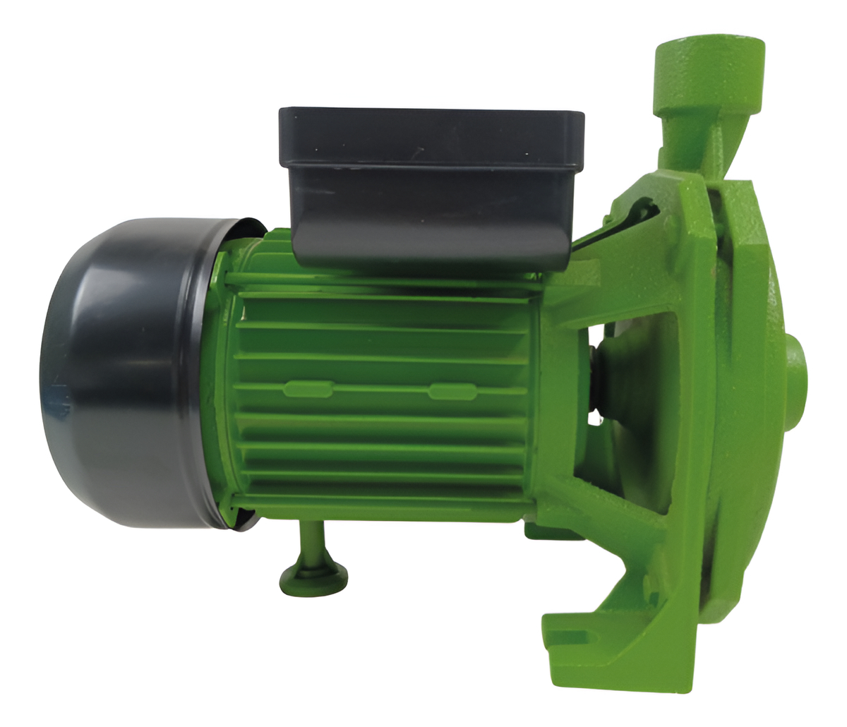 Bomba Centrifuga Forest & Garden Bc610 De 1hp Color Verde