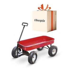 Carro O Carrito De Chapa Para Niños 4 Ruedas - Tyt