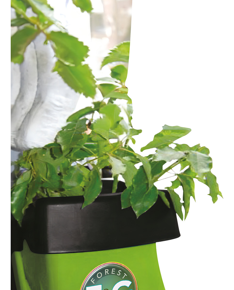 Trituradora Chipeadora Electrica 2500w Forest Garden Tre744 - Imagen 7