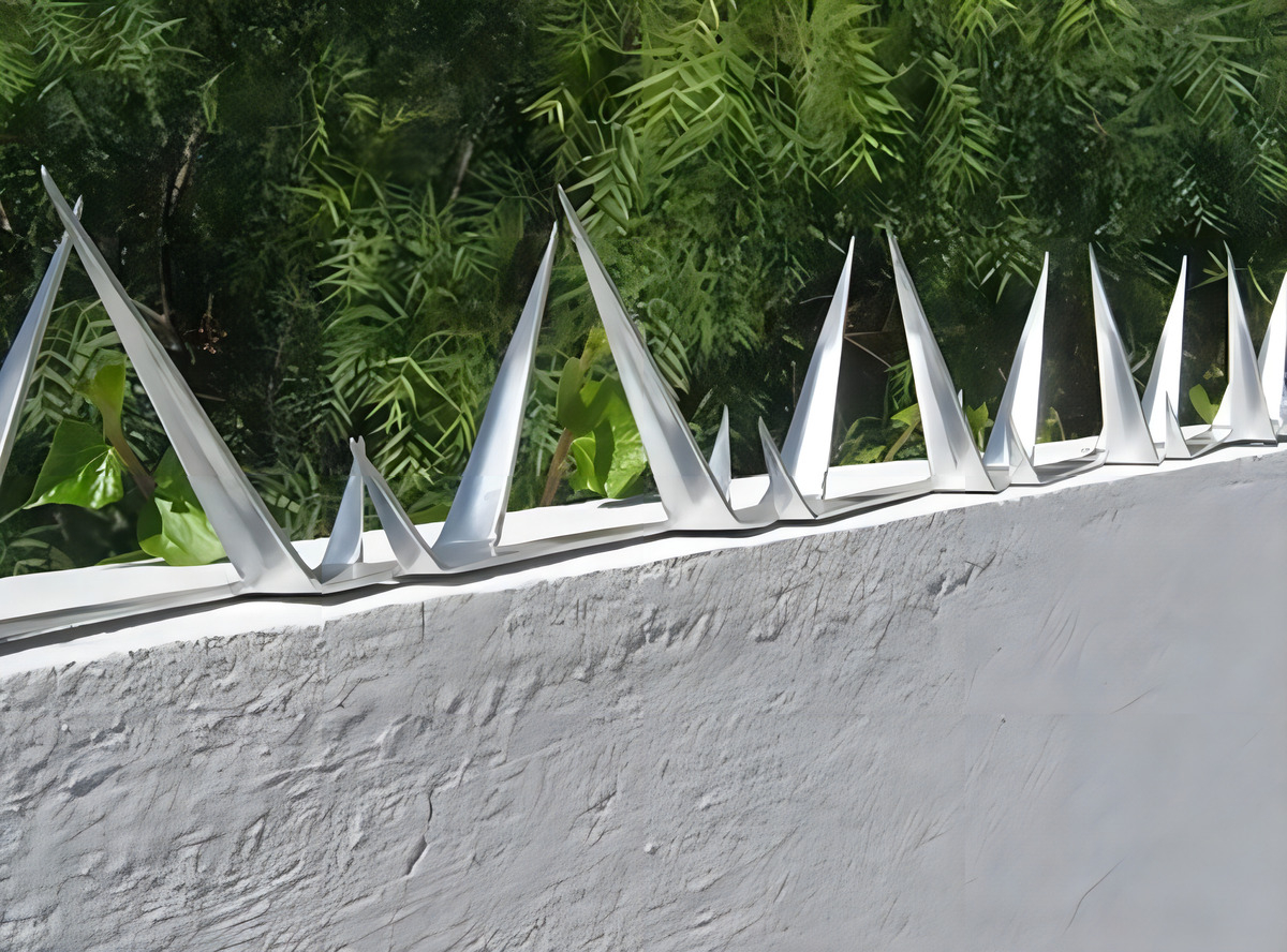 Puas O Pinchos De Seguridad Para Muros Acero Inoxidable Color Gris - Imagen 2