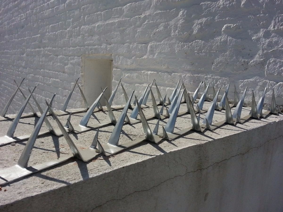 Pinchos O Puas De Seguridad Para Muro En Acero Inoxidable - Imagen 4