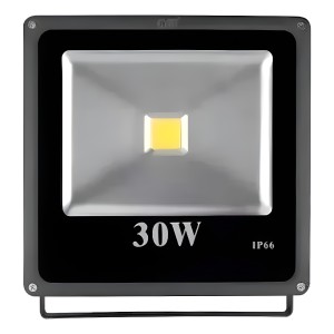 Foco Led 30w Reflector Exterior Ip66 Luz Fría- Tvirtual