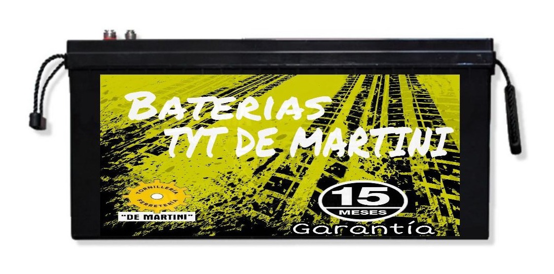 Batería 200 Amper Tyt Transporte 15 Meses Garantía - Tyt