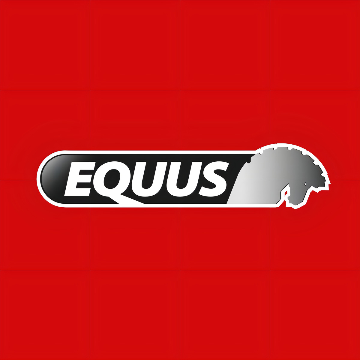 Malacate Eléctrico Sacapeludo 1133kg Equus Gkewp25c *ub - Imagen 3