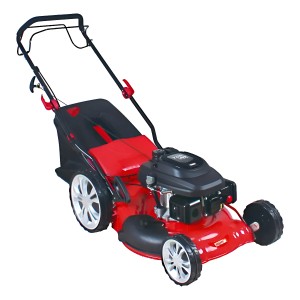 Cortadora Equus Mon-920 5.5hp Autopropulsada 60l