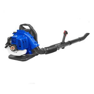 Soplador A Nafta 42.7cc - 1.25kw 7.000rpm Wyq1a42 Wadfow Ff