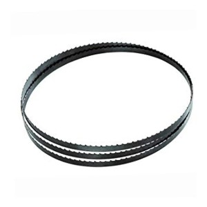 Hoja De Sin Fin Carnicería 10 Tyt