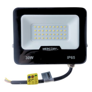 Reflector Led 30w Lampara Luz Blanca 6500k Ip65 110v 220v Negro Blanco Frío