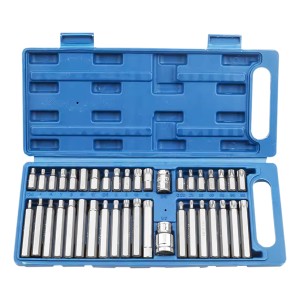 Kit De Punta Allen/torx 40 Piezas