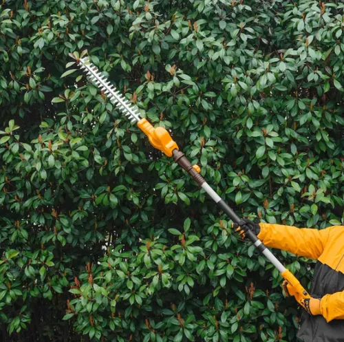 Cortacerco Podador De Altura Inalámbrico 20v 460mm Ingco Naranja Claro - Imagen 2