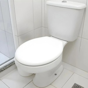 Atlas Oval Decor - Simples