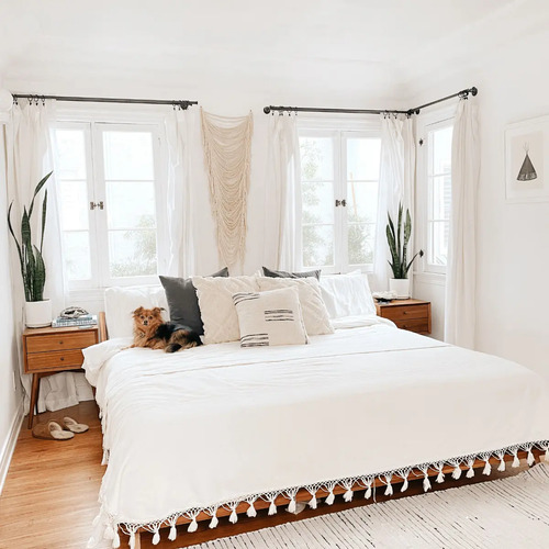 Pintura Para Cielorraso Cubritiva Antihongos Sika - 4 Kg - Imagen 3