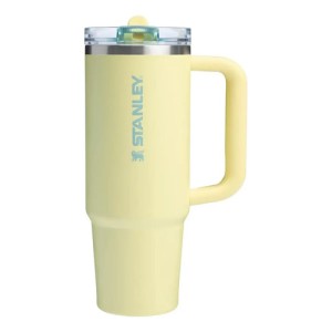 Vaso Térmico Stanley Quencher Protour 30oz