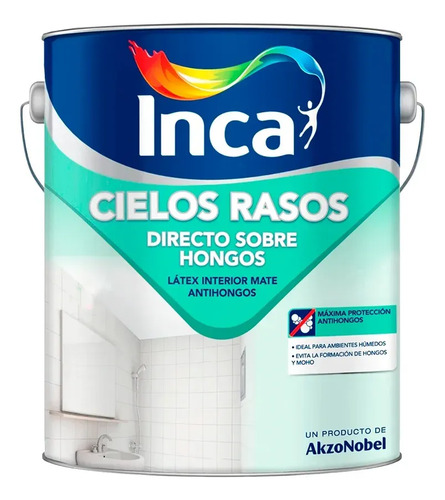 Inca Cielos Rasos Directo sobre Hongos Látex