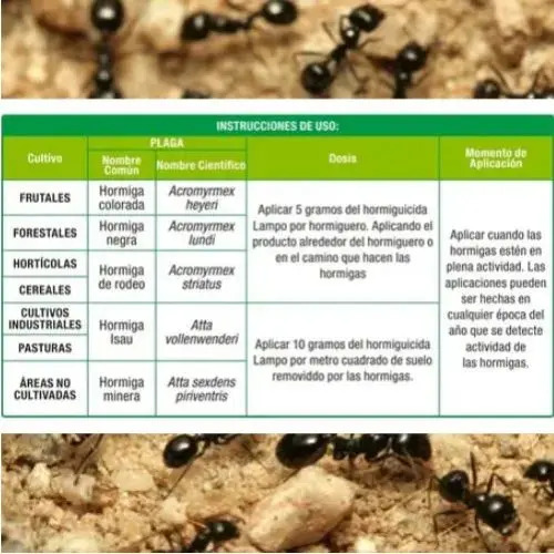 Veneno Granulado Contra Hormigas 500 Gr - Imagen 3