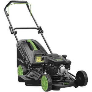 Cortadora De Césped Forest & Garden 4.5 Hp Bolsa Recolectora