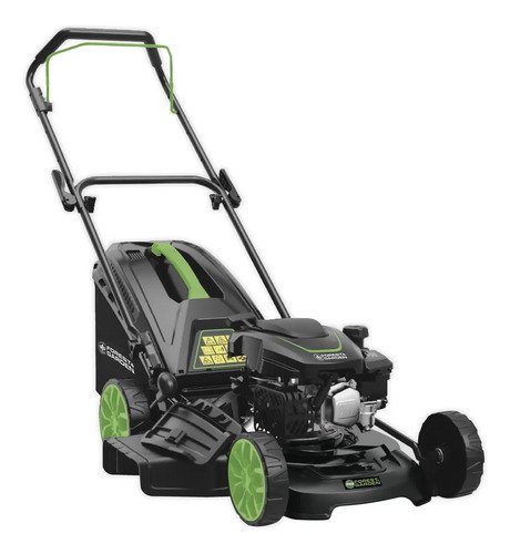 Cortadora De Césped Forest & Garden 4.5 Hp Bolsa Recolectora