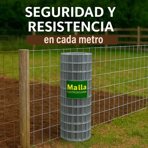Mundo Shop Acero - Imagen 4
