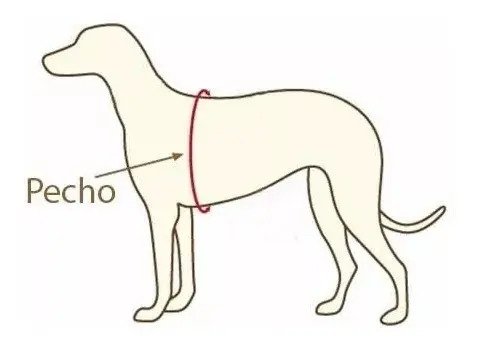 Arnes Pretal Pechera Para Perro Talle M / 10 A 14 Kg Turquesa L - Imagen 4