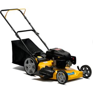 Cortacésped A Nafta Serverbon Sb002266 200cc Recolector 60l Amarillo