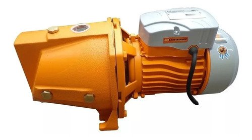 Bomba De Agua Centrífuga 1hp Auto Cebante Lusqtoff Color Naranja Fase Eléctrica Monofásica 50 Hz - Imagen 4