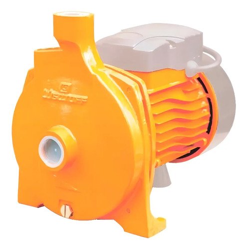 Bomba De Agua Centrífuga 3/4hp Electrobomba Lusqtoff Color Naranja Fase Eléctrica Monofásica Frecuencia 50 50 Hz