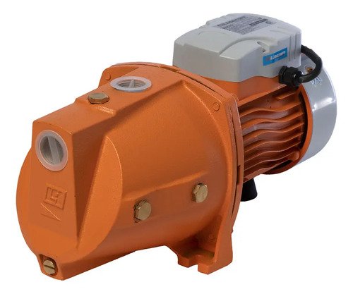 Bomba De Agua Centrífuga 1hp Auto Cebante Lusqtoff Color Naranja Fase Eléctrica Monofásica 50 Hz - Imagen 11