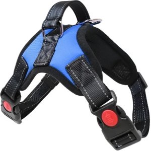 Arnes Pretal Pechera Para Perro Talle M / 10 A 14 Kg Turquesa L