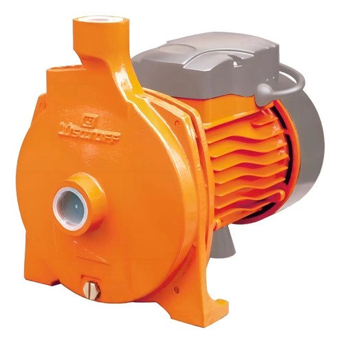 Bomba De Agua Centrífuga 1hp Electrobomba Lusqtoff Color Naranja Fase Eléctrica Monofásica Frecuencia 50 Hz