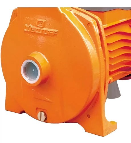 Bomba De Agua Centrífuga 1hp Electrobomba Lusqtoff Color Naranja Fase Eléctrica Monofásica Frecuencia 50 Hz - Imagen 2