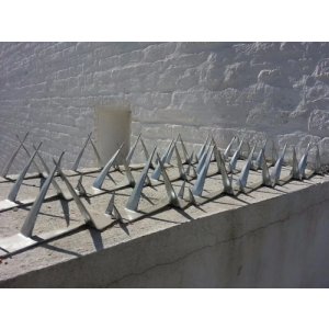Pinchos O Puas De Seguridad Para Muro + Tacos + Tirafondo