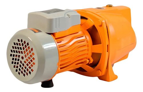 Bomba De Agua Centrífuga 1hp Auto Cebante Lusqtoff Color Naranja Fase Eléctrica Monofásica 50 Hz - Imagen 2