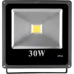 Foco Led 30w Reflector Exterior Ip66 Luz Fría- Tvirtual Blanco Blanco Frío